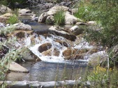 Enlarge photo 59