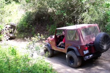 Enlarge photo 13