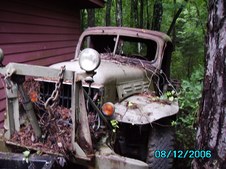 Enlarge photo 383