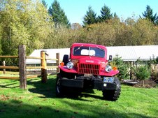 Enlarge photo 293