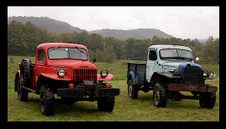Enlarge photo 127