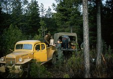 Enlarge photo 222