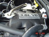 Enlarge photo 245