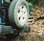 Enlarge photo 248