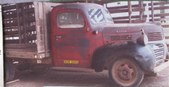 Enlarge photo 108