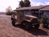 Enlarge photo 28