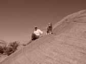 Enlarge photo 113