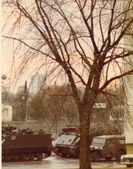 Enlarge photo 90