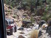 Motino Wash