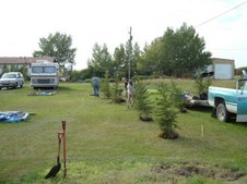 Enlarge photo 153