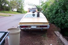 Enlarge photo 133