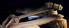 Enlarge photo 67