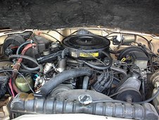 Enlarge photo 155