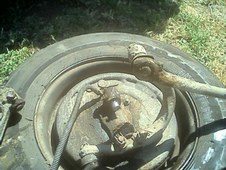 Enlarge photo 154