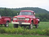 Enlarge photo 67