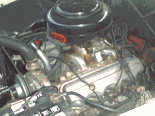 Enlarge photo 285