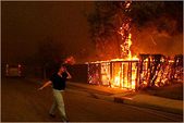 Wildfire!