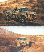 Enlarge photo 45
