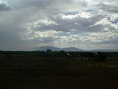 Enlarge photo 150