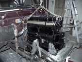 Enlarge photo 169