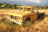 Enlarge photo 113