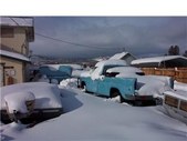 Enlarge photo 205