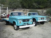 Enlarge photo 198