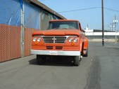 Enlarge photo 132