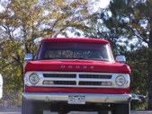 Enlarge photo 45