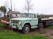 Enlarge photo 462