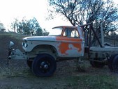 Enlarge photo 495