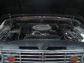 Enlarge photo 267