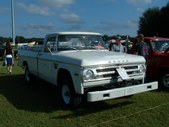 Enlarge photo 175
