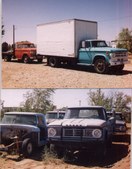 Enlarge photo 116