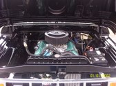 Enlarge photo 516
