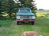 Enlarge photo 312