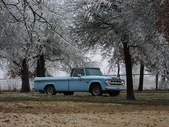 Enlarge photo 373