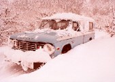 Enlarge photo 61