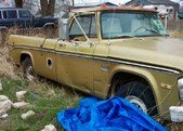 Enlarge photo 442