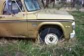 Enlarge photo 453