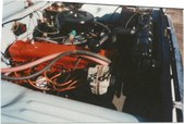 Enlarge photo 236