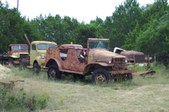 Enlarge photo 129