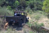 Enlarge photo 79