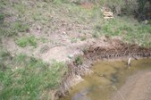 Enlarge photo 37