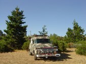 Enlarge photo 41
