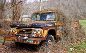 Enlarge photo 264