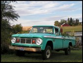 Enlarge photo 110