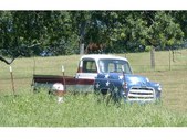 Enlarge photo 131
