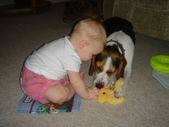 Enlarge photo 87