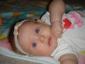 Enlarge photo 153